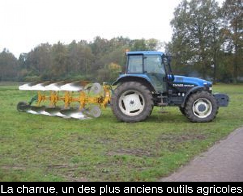 La charrue, un des plus anciens outils agricoles La charrue, un des plus anciens outils agricoles