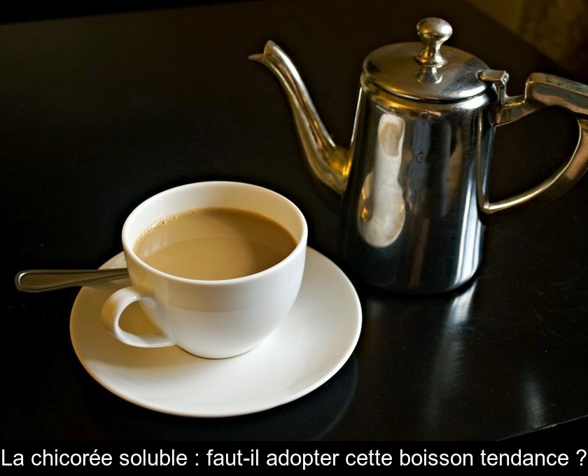 La chicorée et ses bienfaits pour la santé La chicorée et ses bienfaits pour la santé