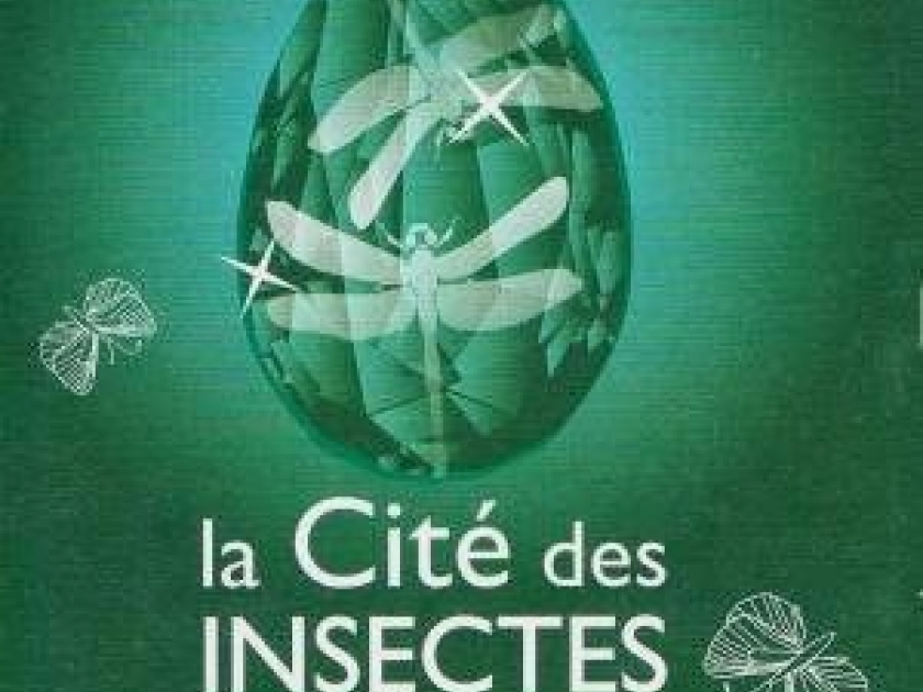 La Cité des insectes : découvrir le monde insoupçonné des insectes La Cité des insectes : découvrir le monde insoupçonné des insectes