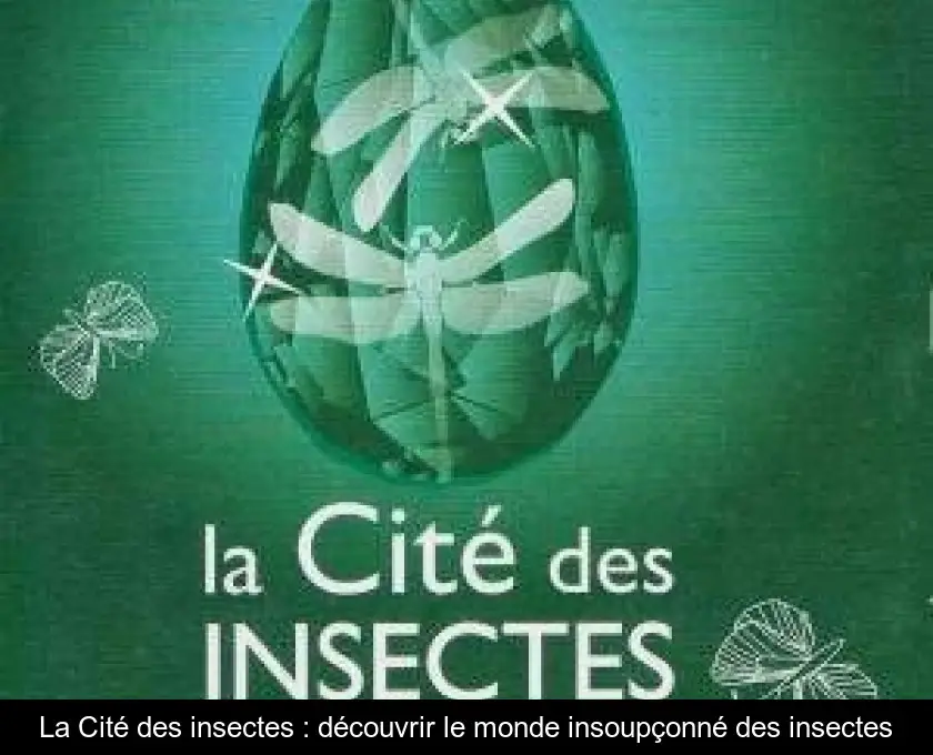 La Cité des insectes : découvrir le monde insoupçonné des insectes