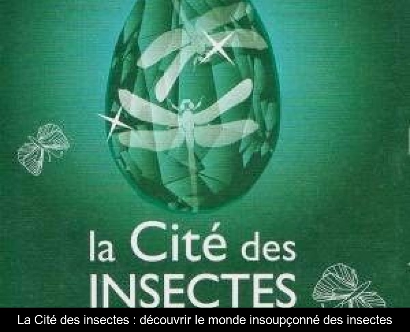 La Cité des insectes : découvrir le monde insoupçonné des insectes La Cité des insectes : découvrir le monde insoupçonné des insectes