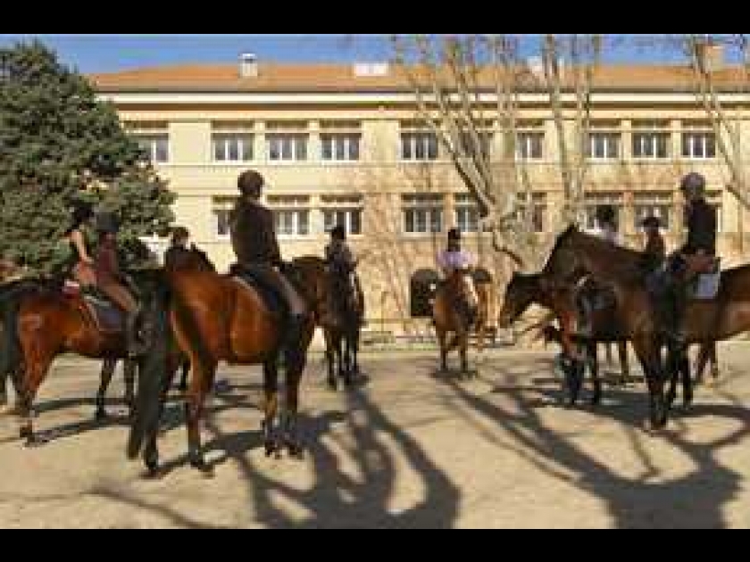 La Cité du Cheval : des formations équestres à Tarascon La Cité du Cheval : des formations équestres à Tarascon