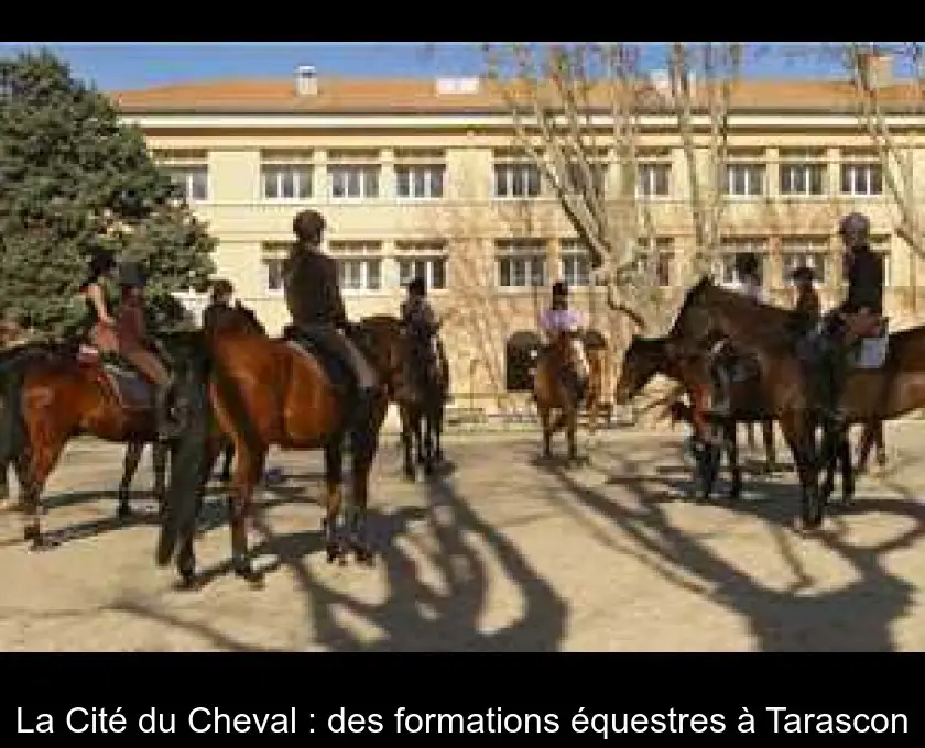 La Cité du Cheval : des formations équestres à Tarascon
