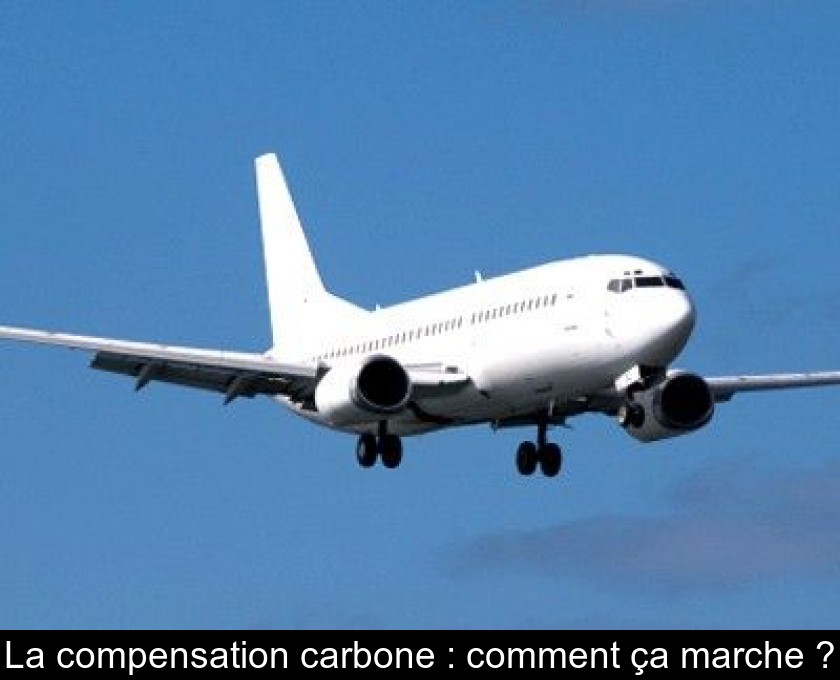 La compensation carbone : comment ça marche ? La compensation carbone : comment ça marche ?