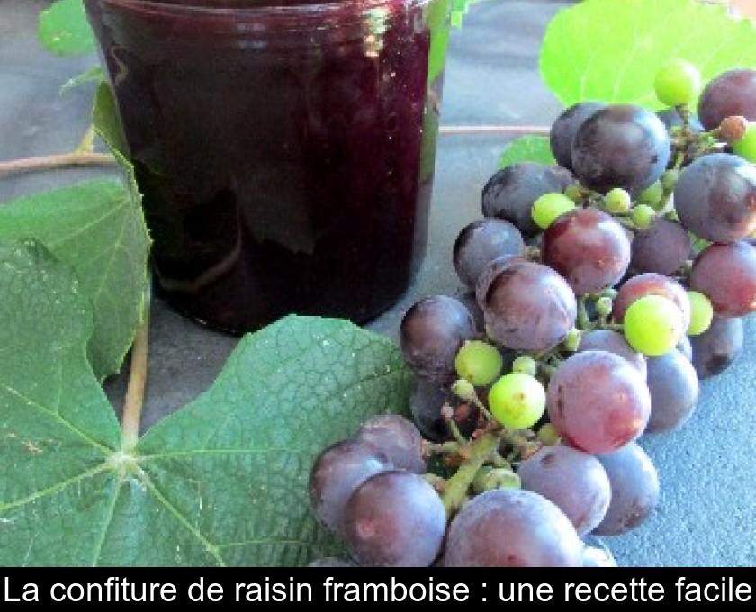 La confiture de raisin framboise : une recette facile La confiture de raisin framboise : une recette facile