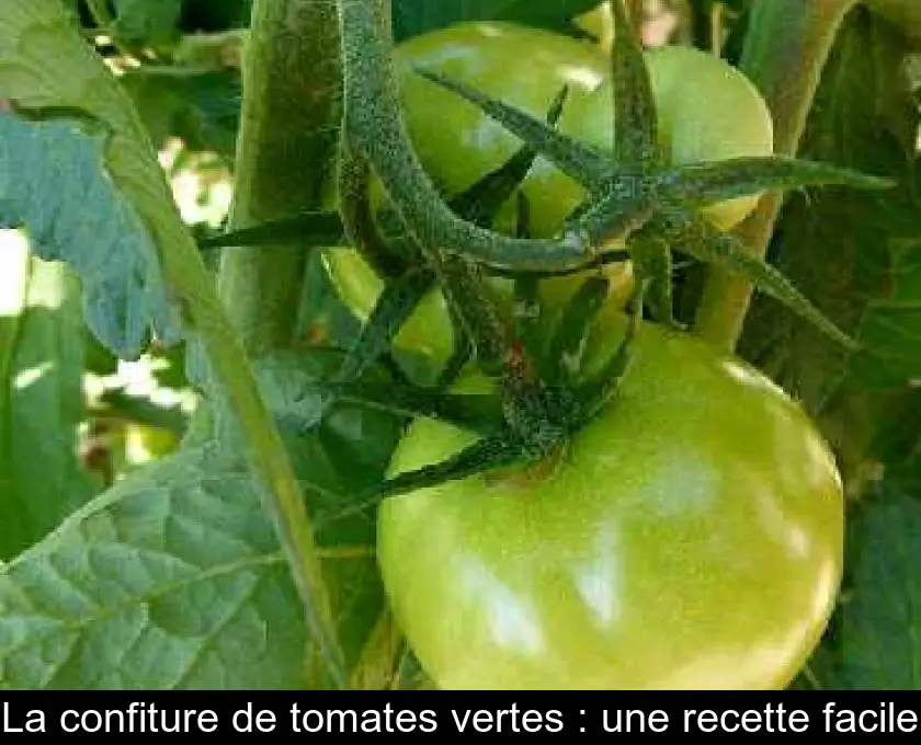 La confiture de tomates vertes : une recette facile