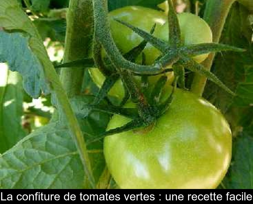 La confiture de tomates vertes : une recette facile La confiture de tomates vertes : une recette facile