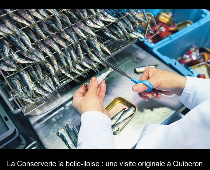 La Conserverie la belle-iloise : une visite originale à Quiberon