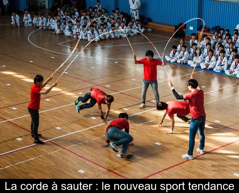 Corde à sauter, corde à sauter en longueur de 32 pieds avec poignée en  bois, meilleure corde à sauter néerlandaise double groupe d'équipe pour le  sport scolaire et les activités de plein