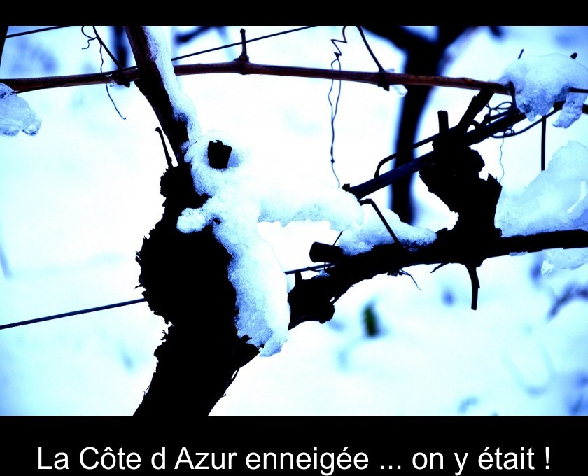 La Côte d'Azur enneigée ... on y était ! La Côte d'Azur enneigée ... on y était !