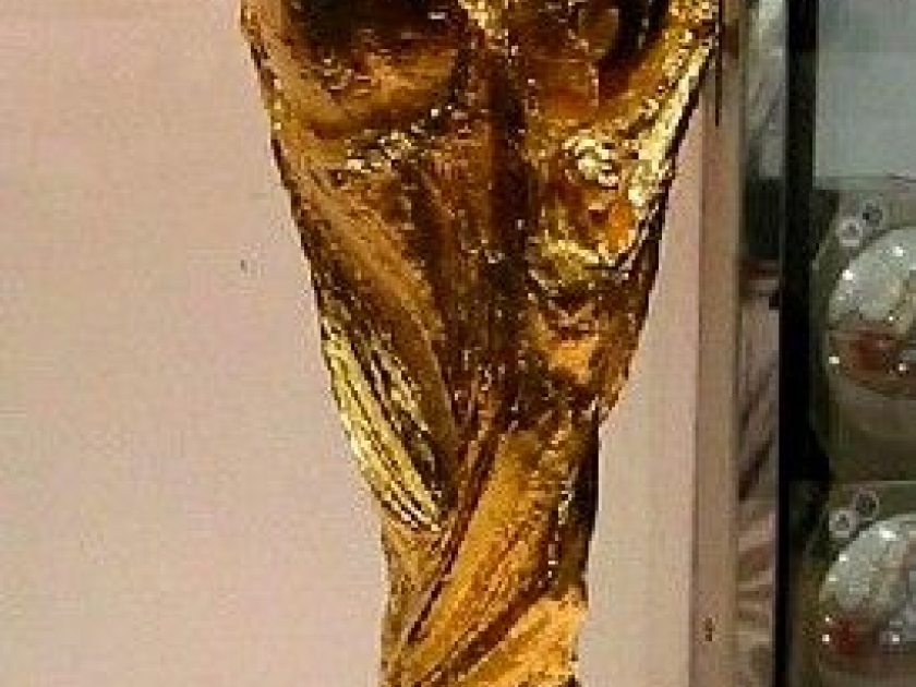 La Coupe du monde de football : présentation et histoire La Coupe du monde de football : présentation et histoire