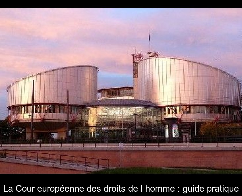 La Cour européenne des droits de l'homme : guide pratique La Cour européenne des droits de l'homme : guide pratique