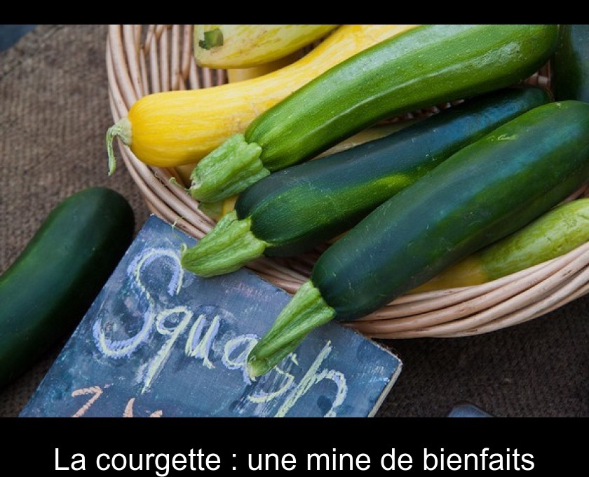 La courgette : une mine de bienfaits La courgette : une mine de bienfaits