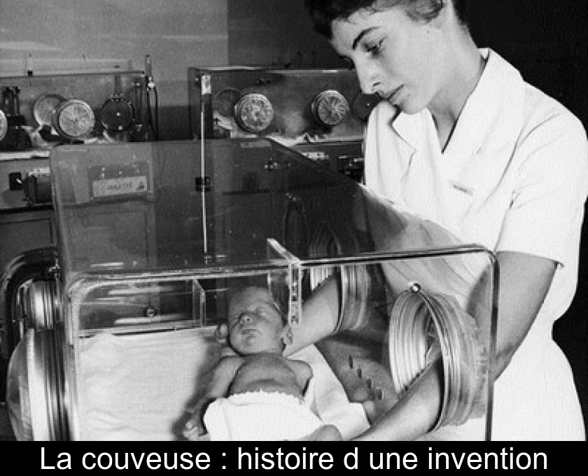 La Couveuse Histoire D Une Invention