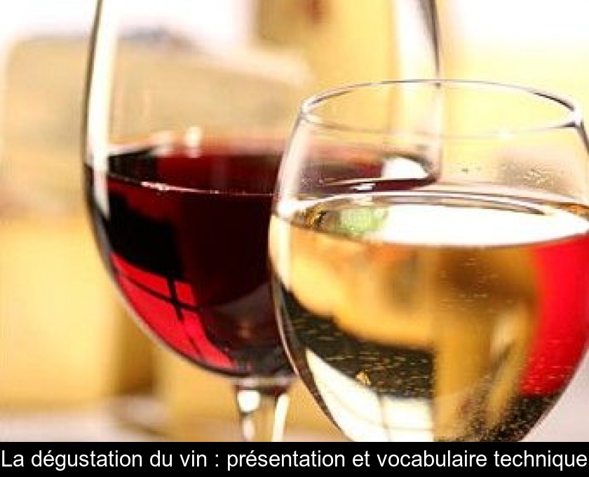 La dégustation du vin : présentation et vocabulaire technique La dégustation du vin : présentation et vocabulaire technique