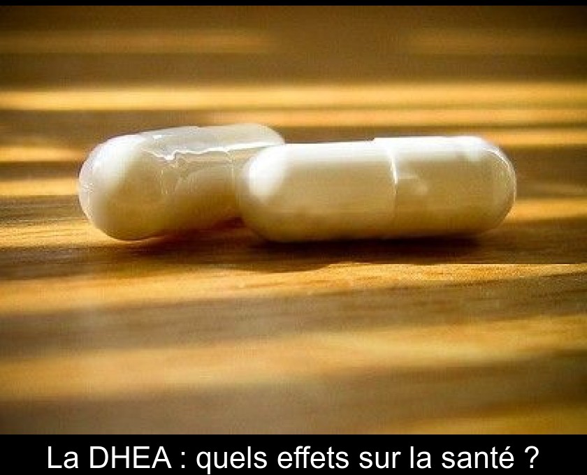 La DHEA : quels effets sur la santé ? La DHEA : quels effets sur la santé ?