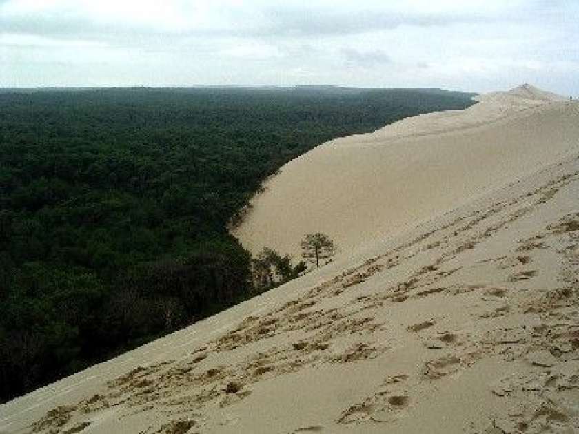 La dune du Pyla : une curiosité géologique La dune du Pyla : une curiosité géologique