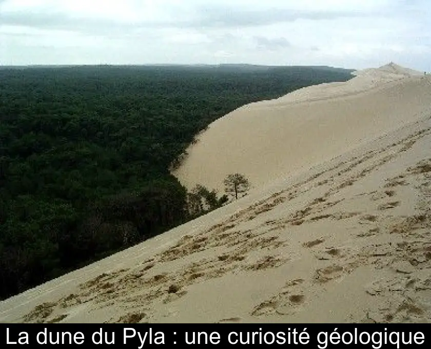 La dune du Pyla : une curiosité géologique