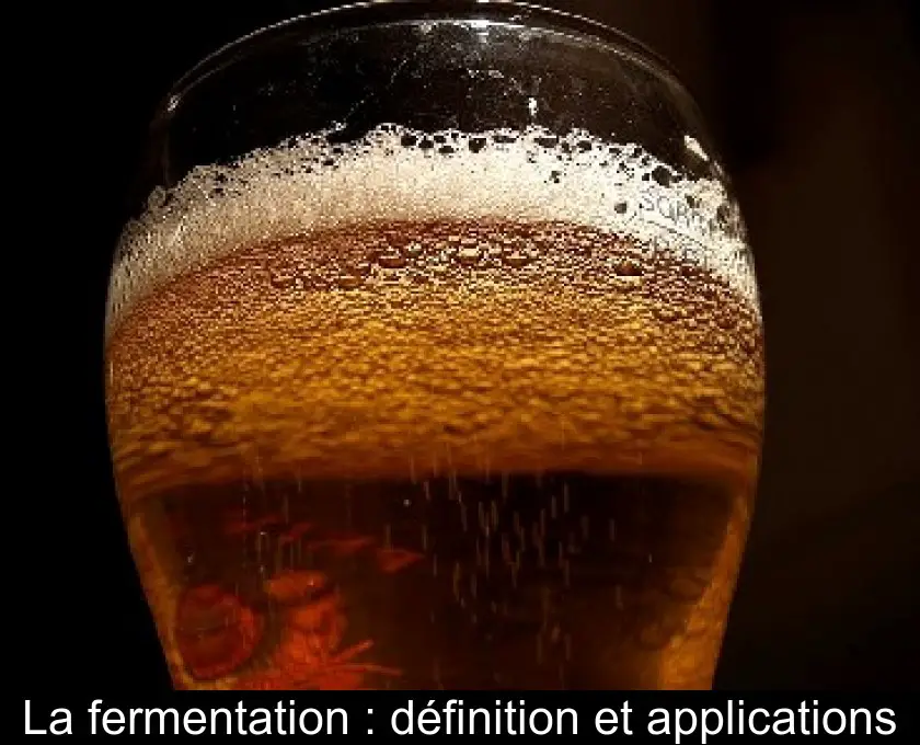 La fermentation : définition et applications