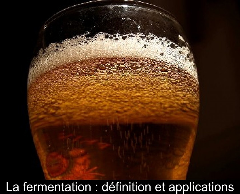 La fermentation : définition et applications La fermentation : définition et applications