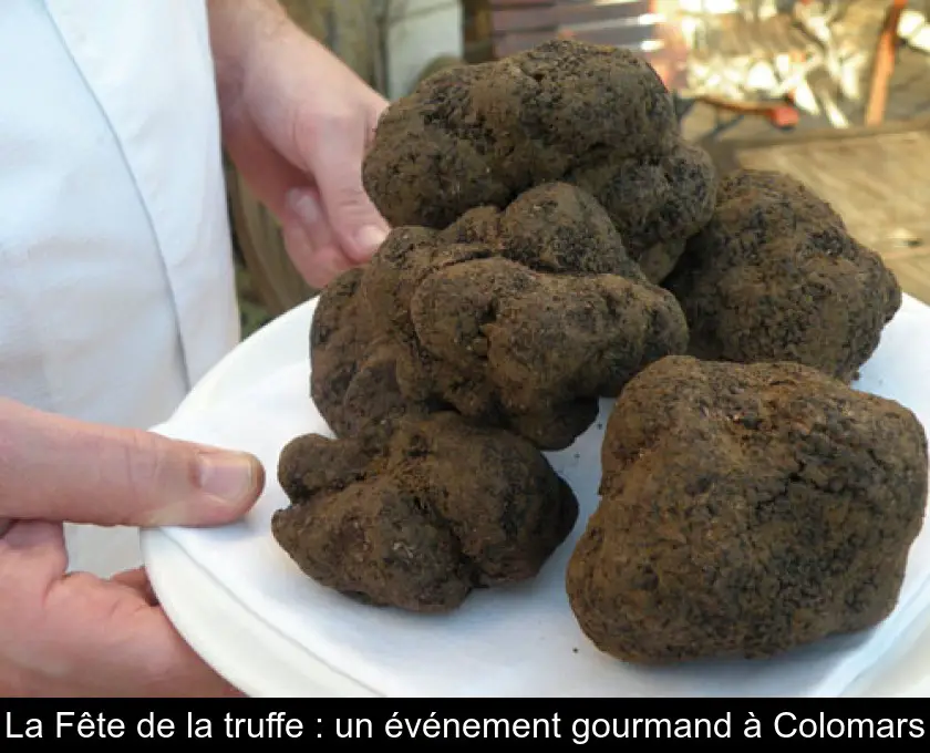 La Fête de la truffe : un événement gourmand à Colomars