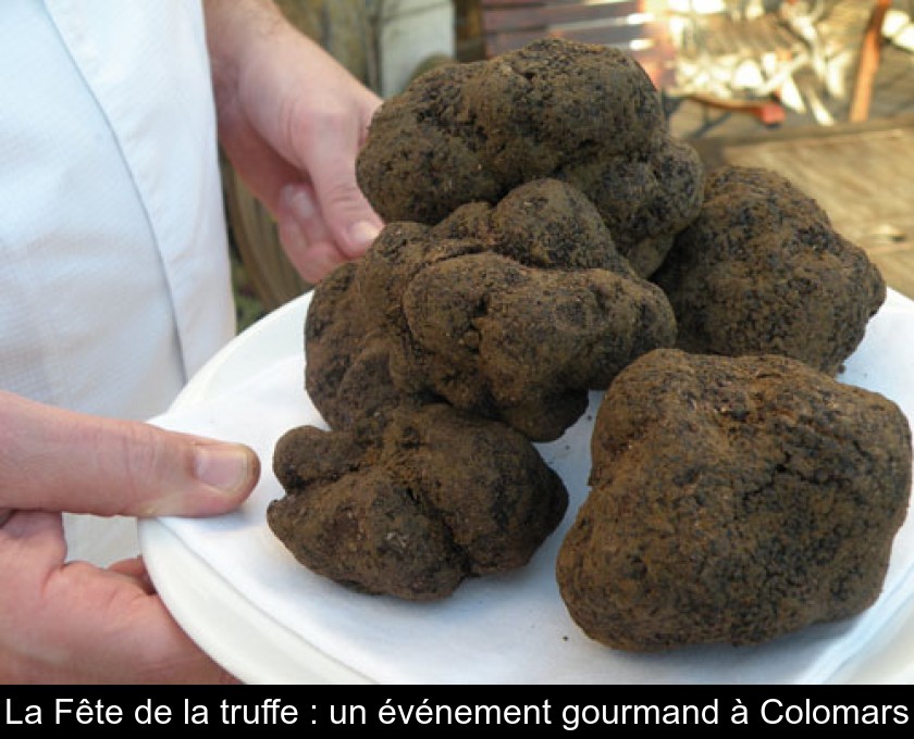 La Fête de la truffe : un événement gourmand à Colomars La Fête de la truffe : un événement gourmand à Colomars