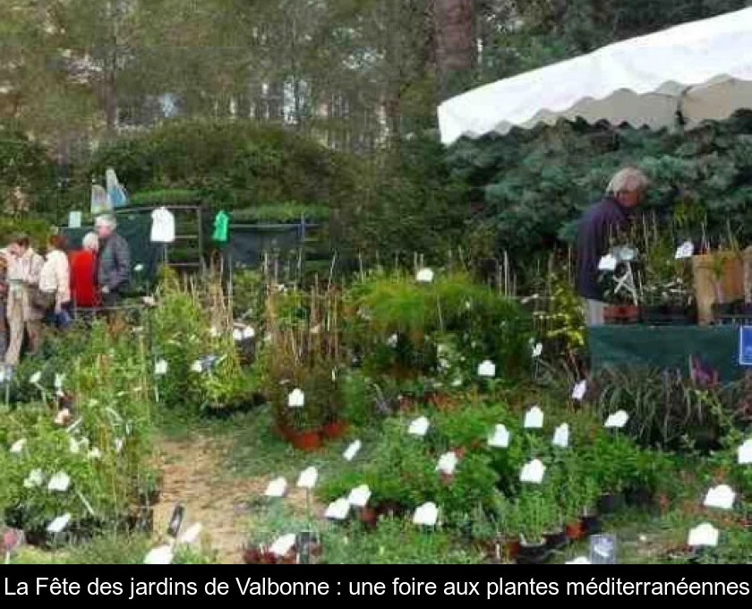 La Fête des jardins de Valbonne : une foire aux plantes méditerranéennes La Fête des jardins de Valbonne : une foire aux plantes méditerranéennes