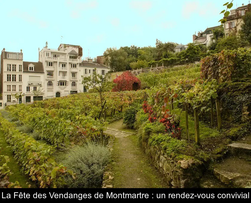La Fête des Vendanges : un rendez-vous convivial à Montmartre