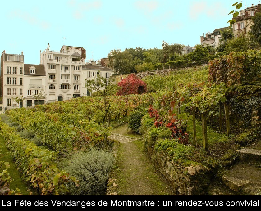 La Fête des Vendanges de Montmartre : un rendez-vous convivial