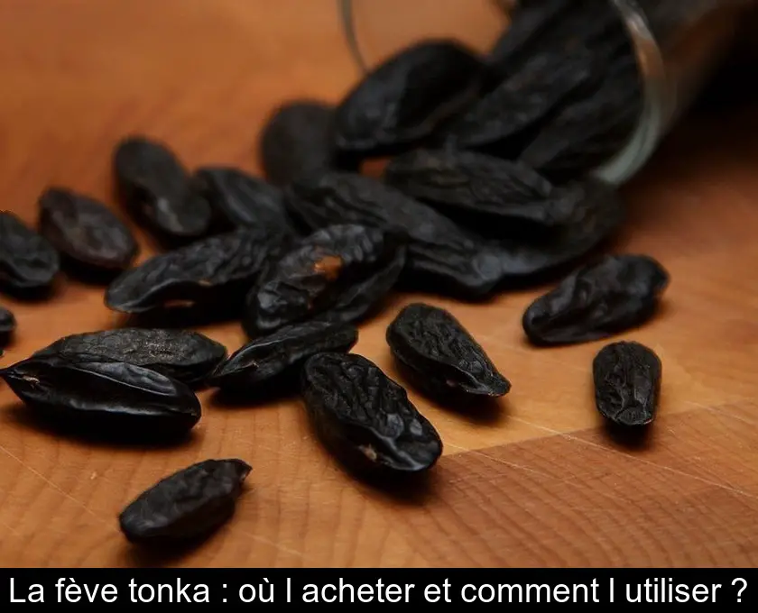 La fève tonka : où l'acheter et comment l'utiliser ?