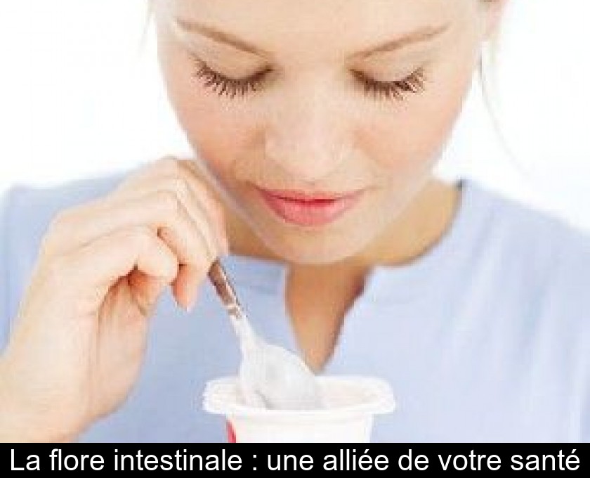 La flore intestinale : une alliée de votre santé La flore intestinale : une alliée de votre santé