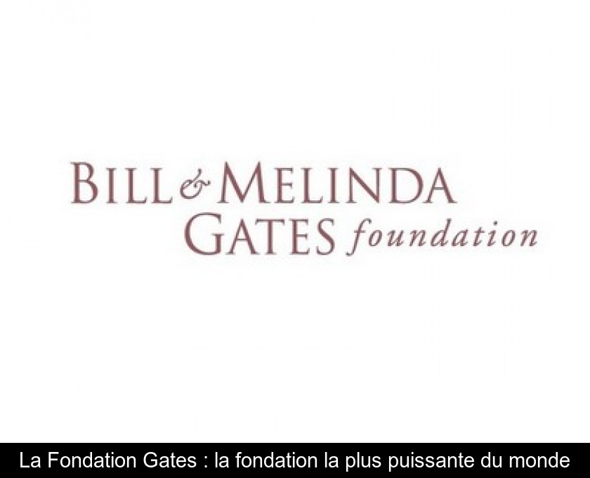 La Fondation Gates : la fondation la plus puissante du monde