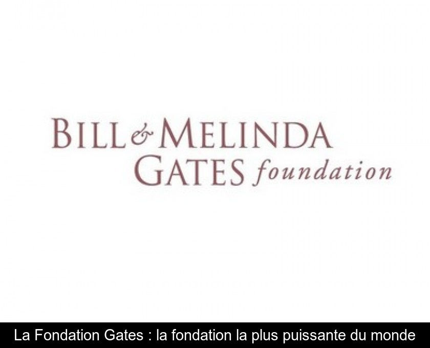 La Fondation Gates : la fondation la plus puissante du monde La Fondation Gates : la fondation la plus puissante du monde