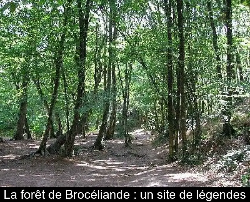 La forêt de Brocéliande : un site de légendes