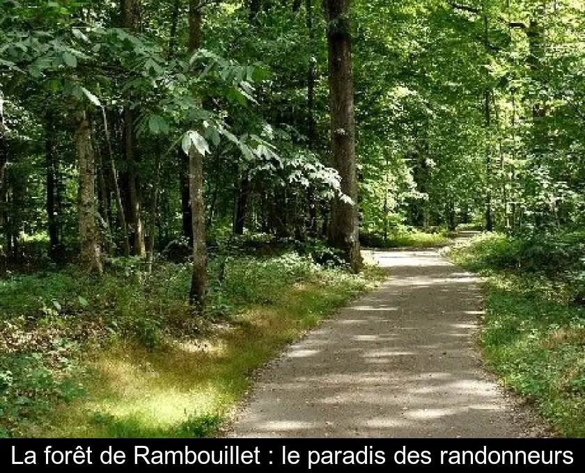 La forêt de Rambouillet : le paradis des randonneurs