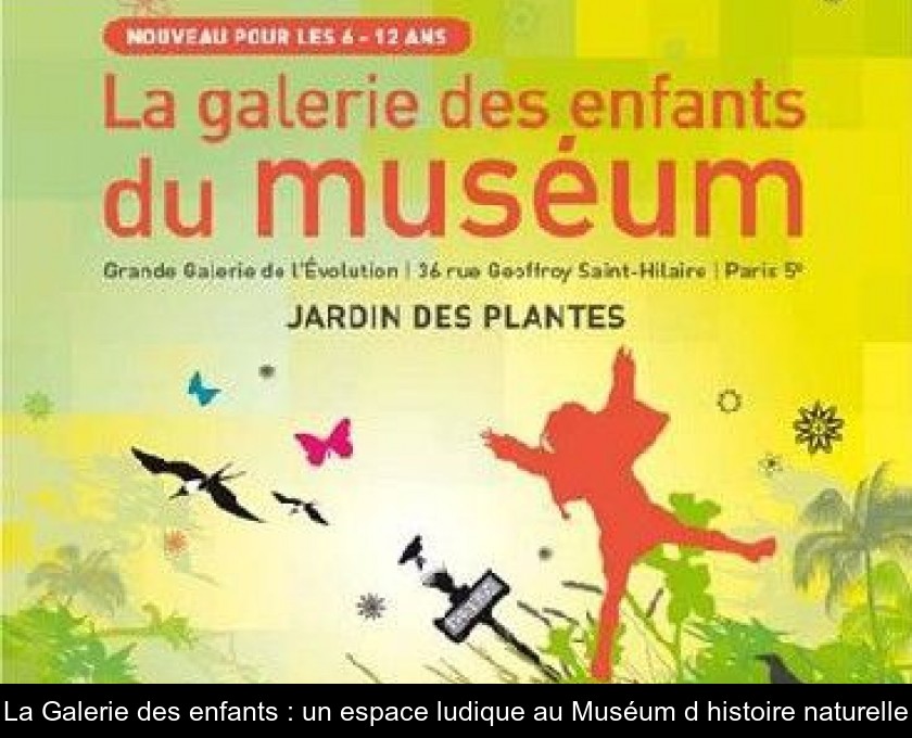 La Galerie des enfants : un espace ludique au Muséum d'histoire naturelle