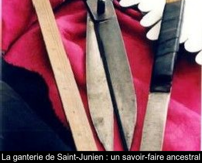 La ganterie de Saint-Junien : un savoir-faire ancestral La ganterie de Saint-Junien : un savoir-faire ancestral