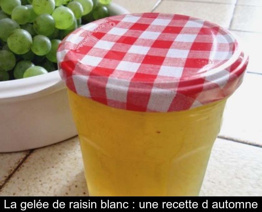 La gelée de raisin blanc : une recette d'automne La gelée de raisin blanc : une recette d'automne