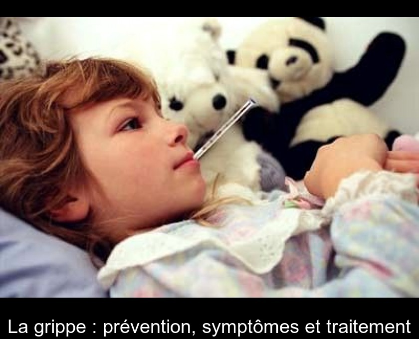 La grippe : prévention, symptômes et traitement La grippe : prévention, symptômes et traitement