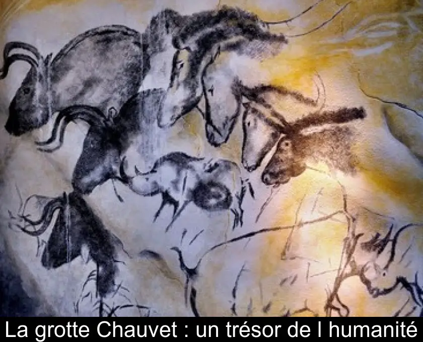 La grotte Chauvet : un trésor de l'humanité