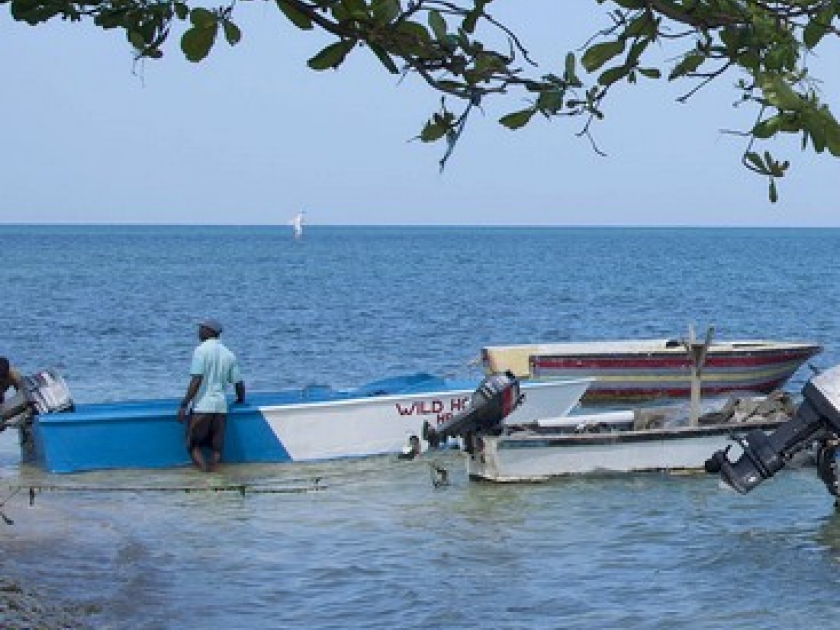 La Jamaïque : une île à couper le souffle La Jamaïque : une île à couper le souffle