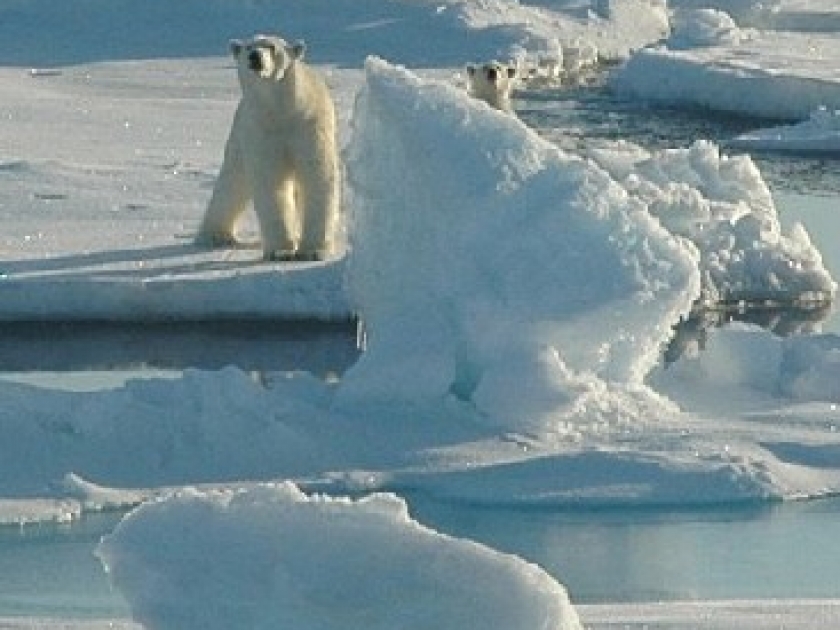 La Journée de la Terre : un rendez-vous planétaire le 22 avril La Journée de la Terre : un rendez-vous planétaire le 22 avril
