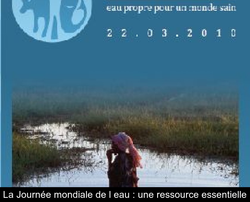 La Journée mondiale de l'eau : une ressource essentielle La Journée mondiale de l'eau : une ressource essentielle
