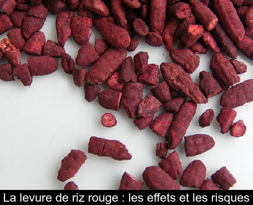 La levure de riz rouge : les effets et les risques La levure de riz rouge : les effets et les risques