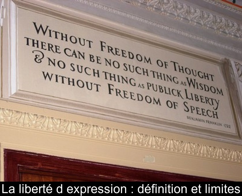 La liberté d'expression : définition et limites La liberté d'expression : définition et limites