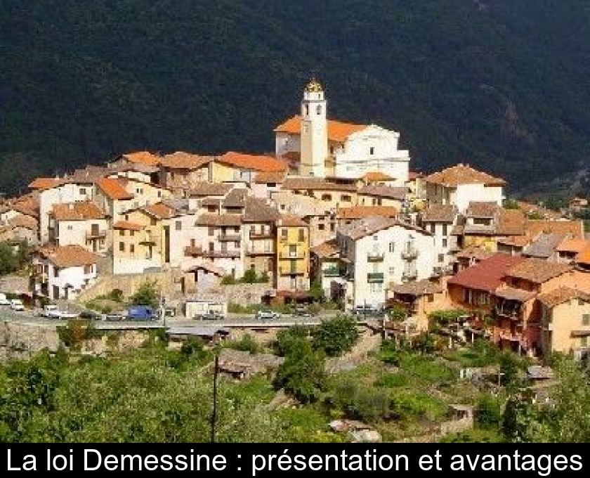 investissement immobilier zrr