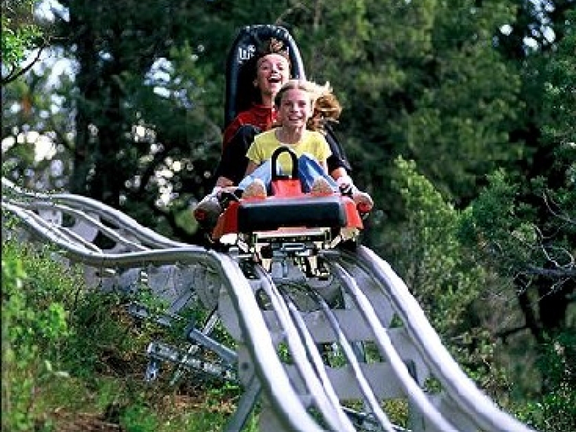 La luge sur rail : des sensations fortes en toute saison La luge sur rail : des sensations fortes en toute saison