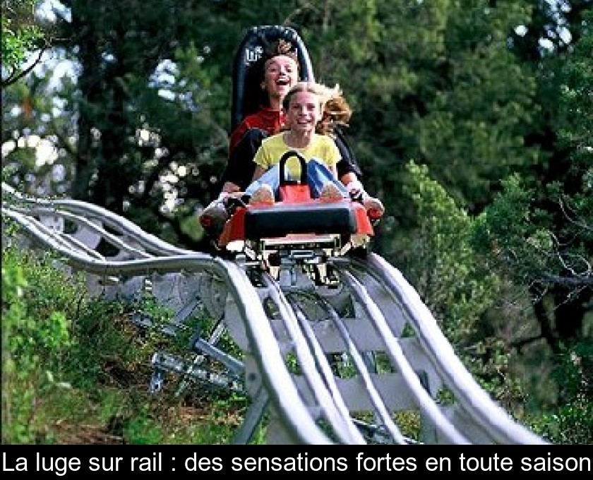 La luge sur rail : des sensations fortes en toute saison La luge sur rail : des sensations fortes en toute saison