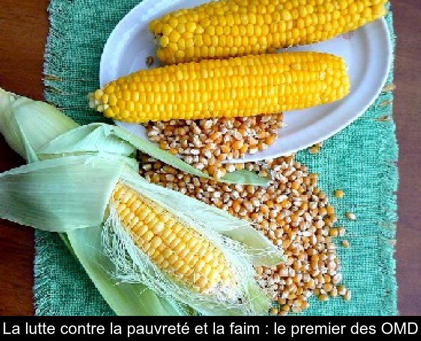La lutte contre la pauvreté et la faim : le premier des OMD La lutte contre la pauvreté et la faim : le premier des OMD
