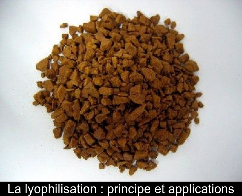 La lyophilisation : principe et applications La lyophilisation : principe et applications